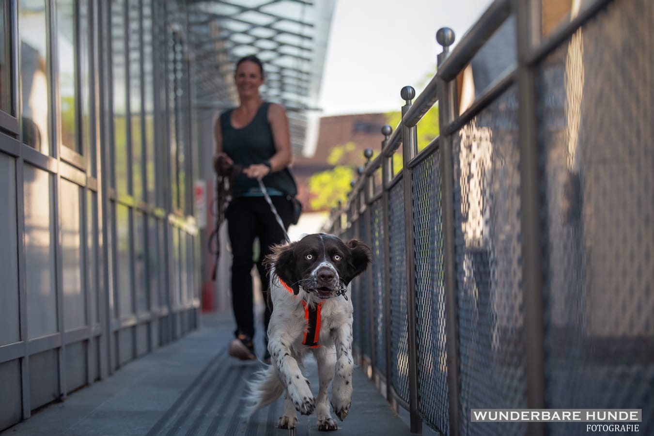 WhatsApp Image 2026-02-04 at 16.24.27 (1)