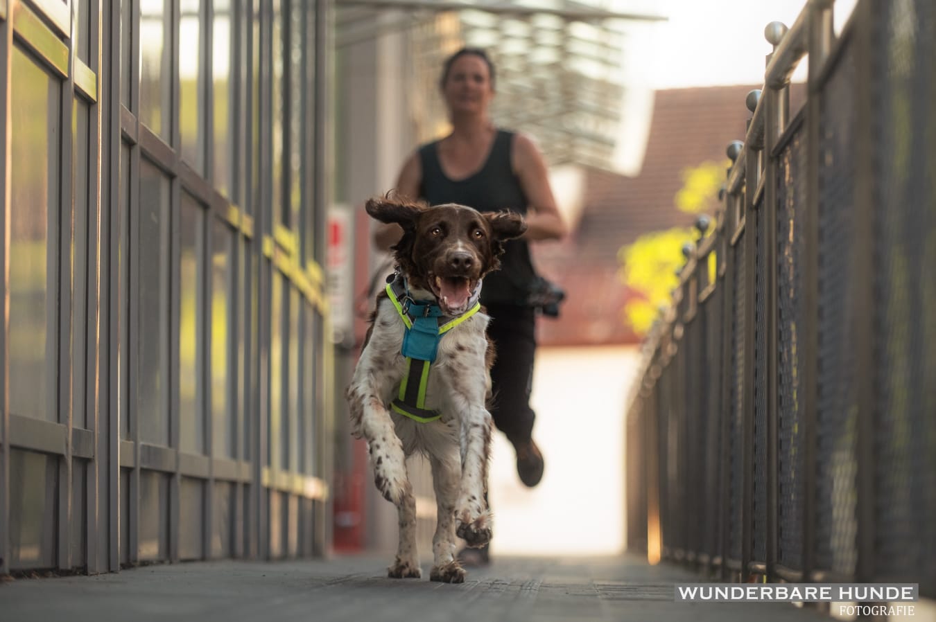 WhatsApp Image 2026-02-04 at 16.24.27